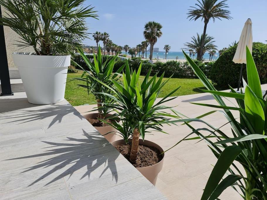 Villa On The Beach Playa Flamenca Orihuela Exterior photo